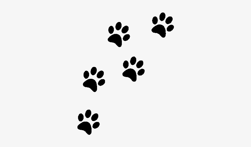As A Griffon Forest Guest You Also Get 10% Off Your - Paw Prints And Hearts, transparent png #1184888