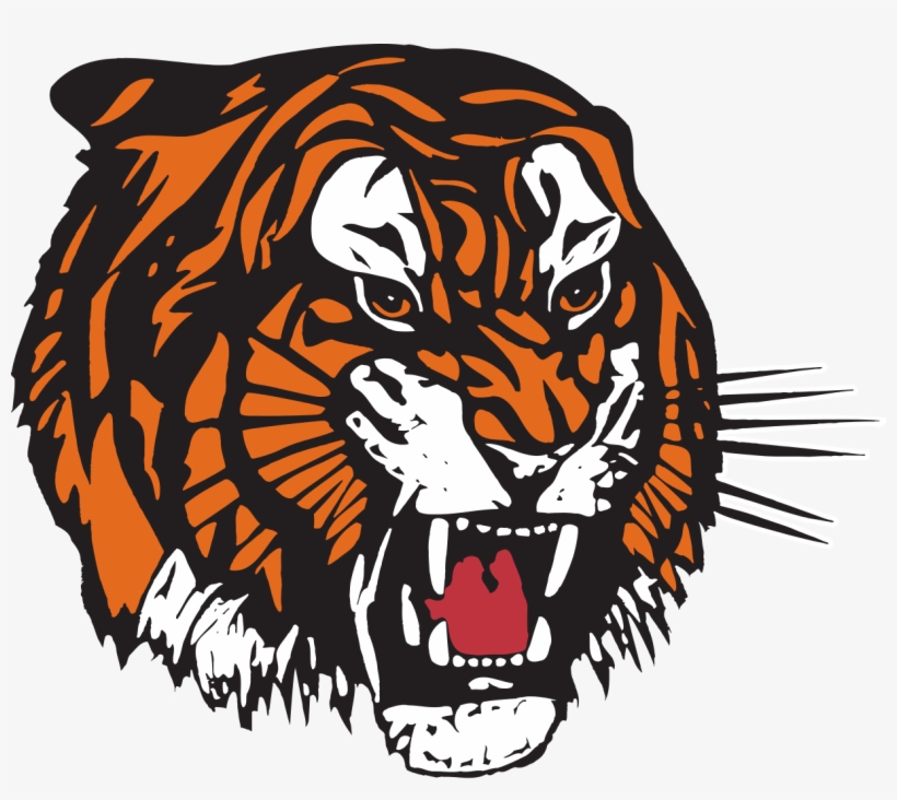Download - Medicine Hat Tigers Logo, transparent png #1185188