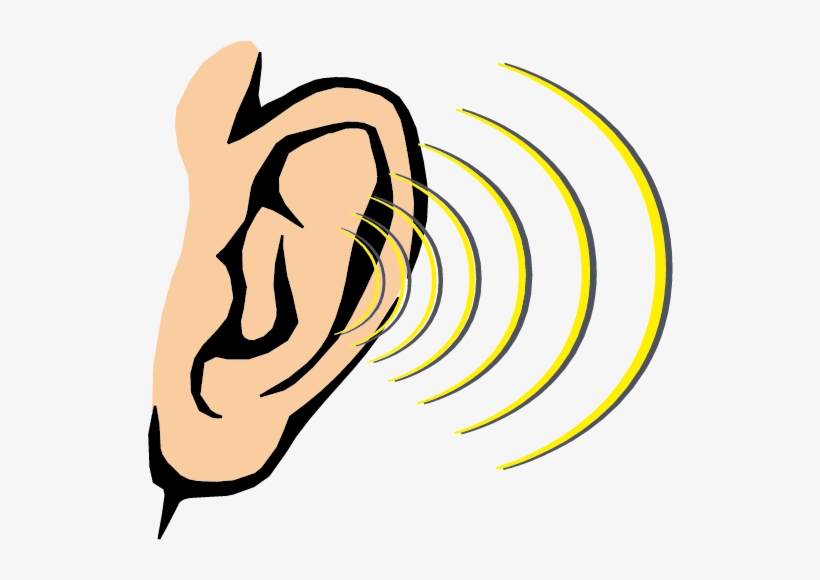 This Special Youth Submission Was Originally A Speech - Dibujo Sentido Del Oido - Free Transparent PNG Download - PNGkey This Special Youth Submission Was Originally A Speech - Dibujo Sentido Del Oido - Free Transparent PNG Download - PNGkey