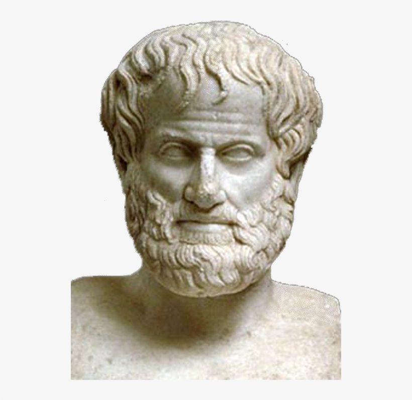 Aristotle Bust White Background Transparent - Aristotle Png, transparent png #1185681