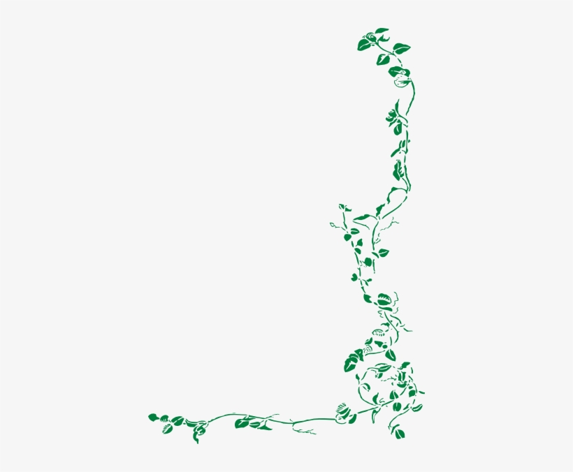 Vine Border SVG