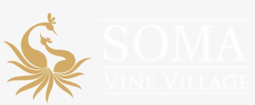 Soma Vine Villege - Soma Wine Logo, transparent png #1186118