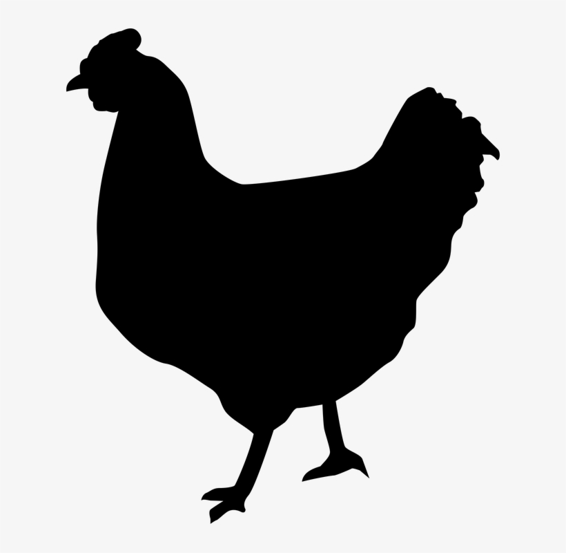 Chicken-silhouette - Hen, transparent png #1186720