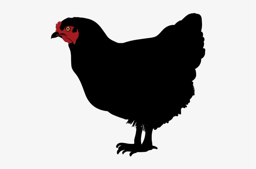 Chicken Silhouette Clip Art - Chicken, transparent png #1186992