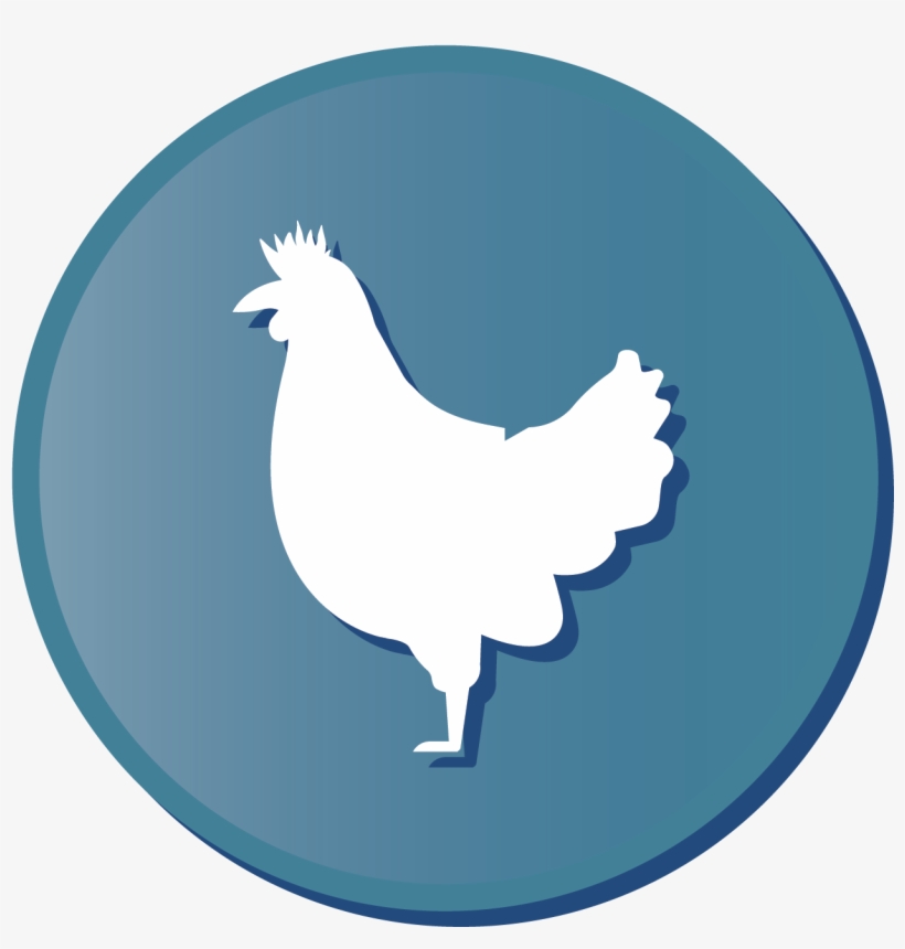 Free Range On Pasture Eggs - Pastured Poultry, transparent png #1187055
