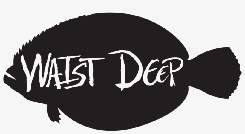 Flounder - Bony-fish, transparent png #1187541