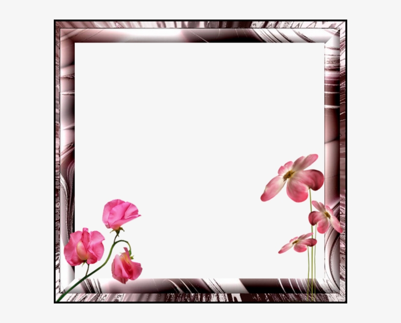 Cadres Pour Vos Créations - Picture Frame, transparent png #1187972