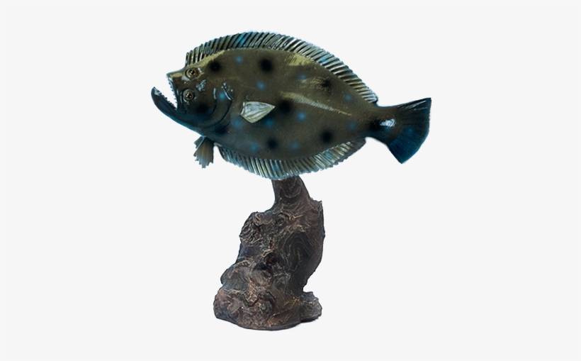 Tt127png1 - Fish, transparent png #1188329