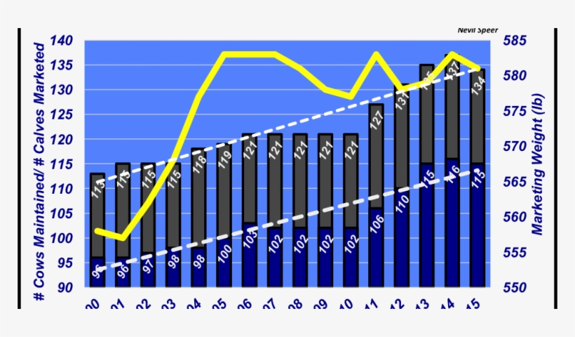 Long-run Cowherd Trends Show Fertility Is In The Crosshairs - Fertility, transparent png #1189366