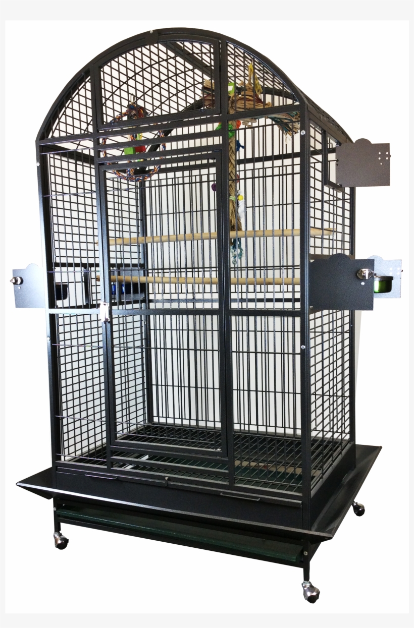 Cage, transparent png #1190546