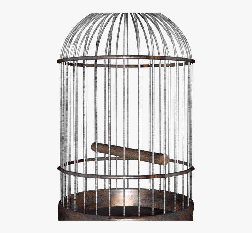 The Bird A Redemption - Bird In A Cage Png, transparent png #1190609