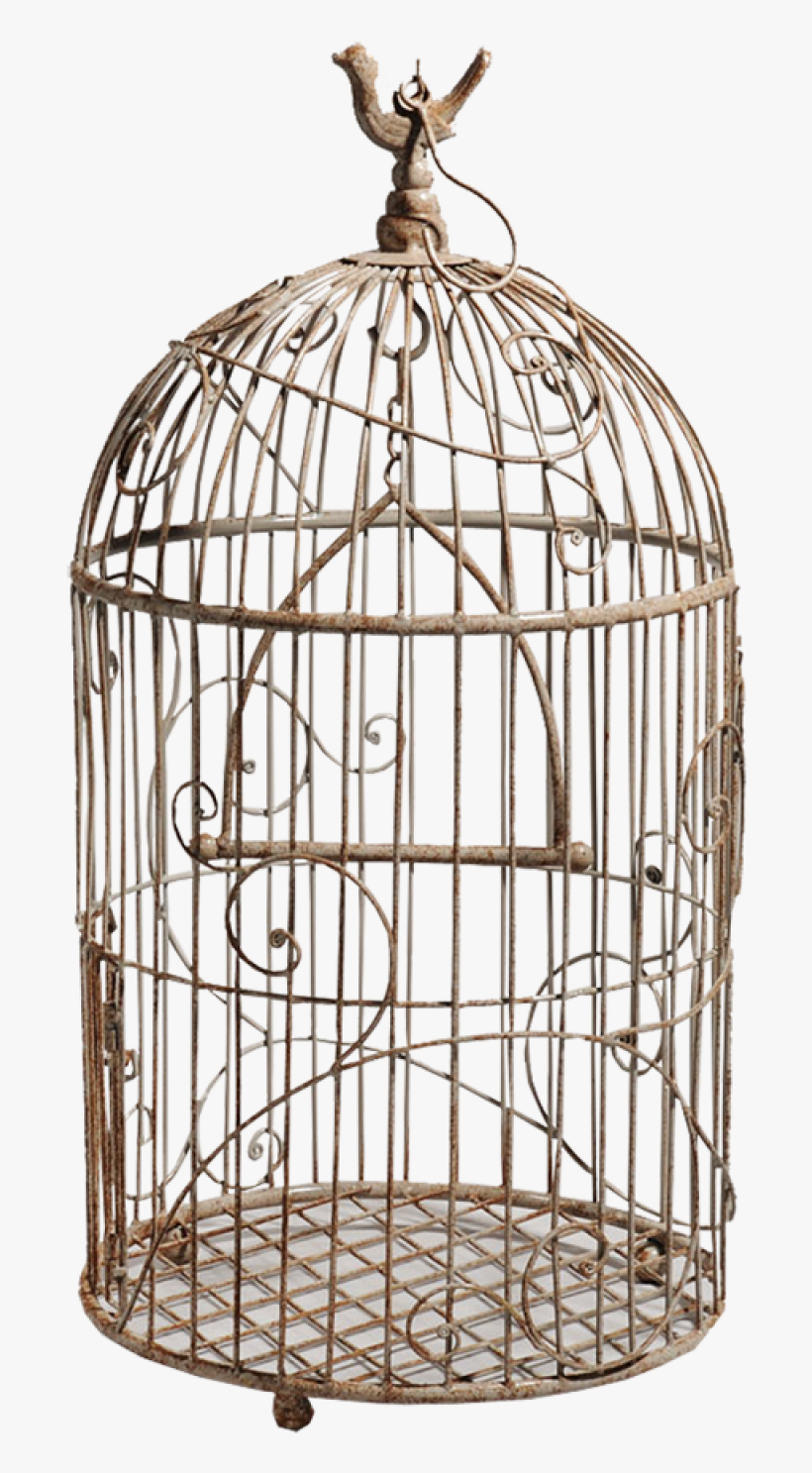Free Png White Bird Cage Png Images Transparent - Птичья Клетка Png, transparent png #1190668