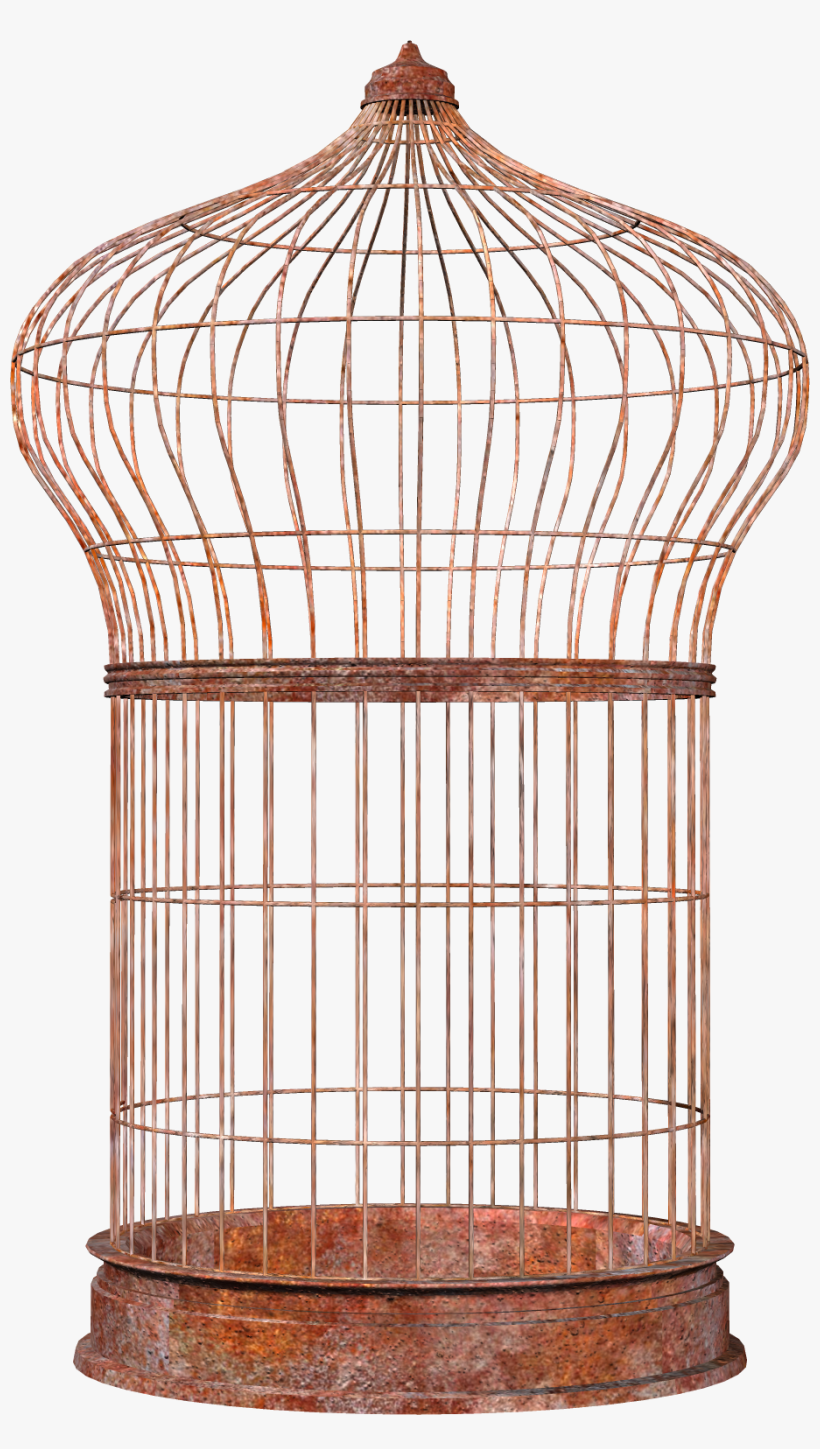 Free Png Bird Cage Png Images Transparent - Клетка Для Попугая Png, transparent png #1190751