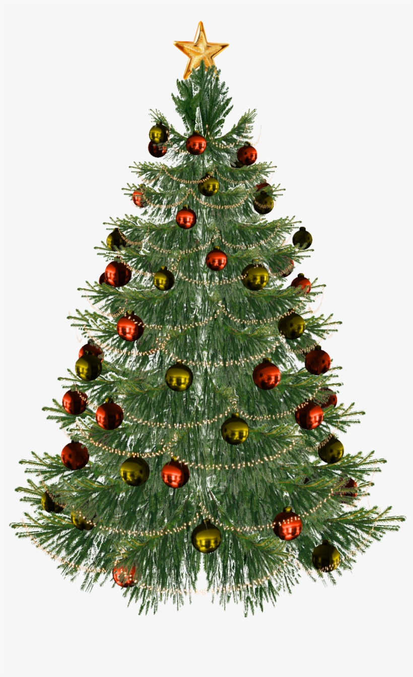 Christmas Tree Png - Christmas Tree White Background, transparent png #1192215
