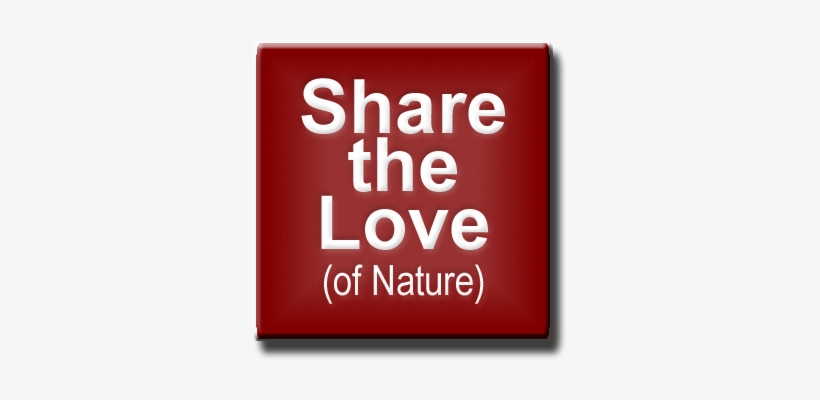 Share The Love Of Nature Button - Quit The Shit Get Fit, transparent png #1192281