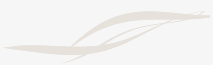 White clearance swoosh png