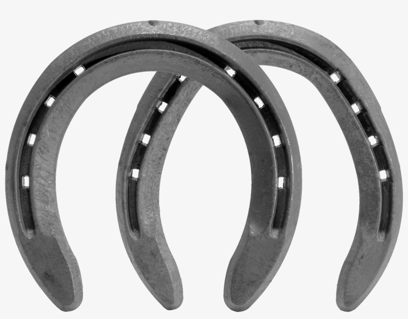 St Croix Eventer Steel Family Bottom Image - Eventer Horse Shoes, transparent png #1194223