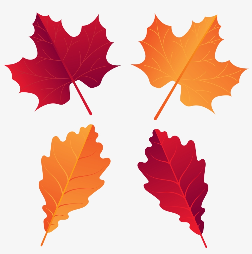 Canadian Leaf Png, transparent png #1194804