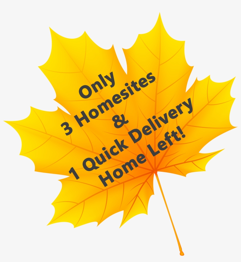 Fab Fall Maple Leaf - Everyday Low Price, transparent png #1194934