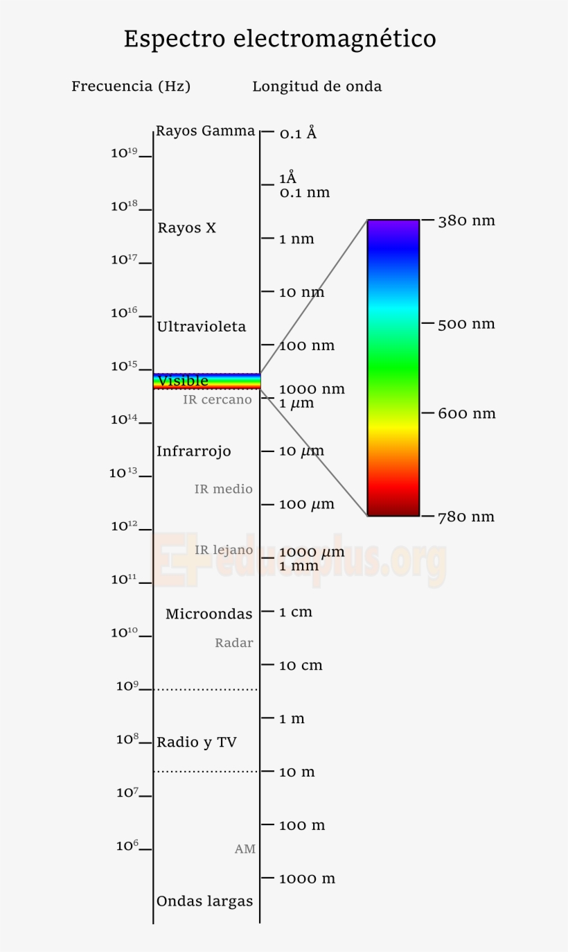 Espectro Electromagnético - Luz Como Onda, transparent png #1196087