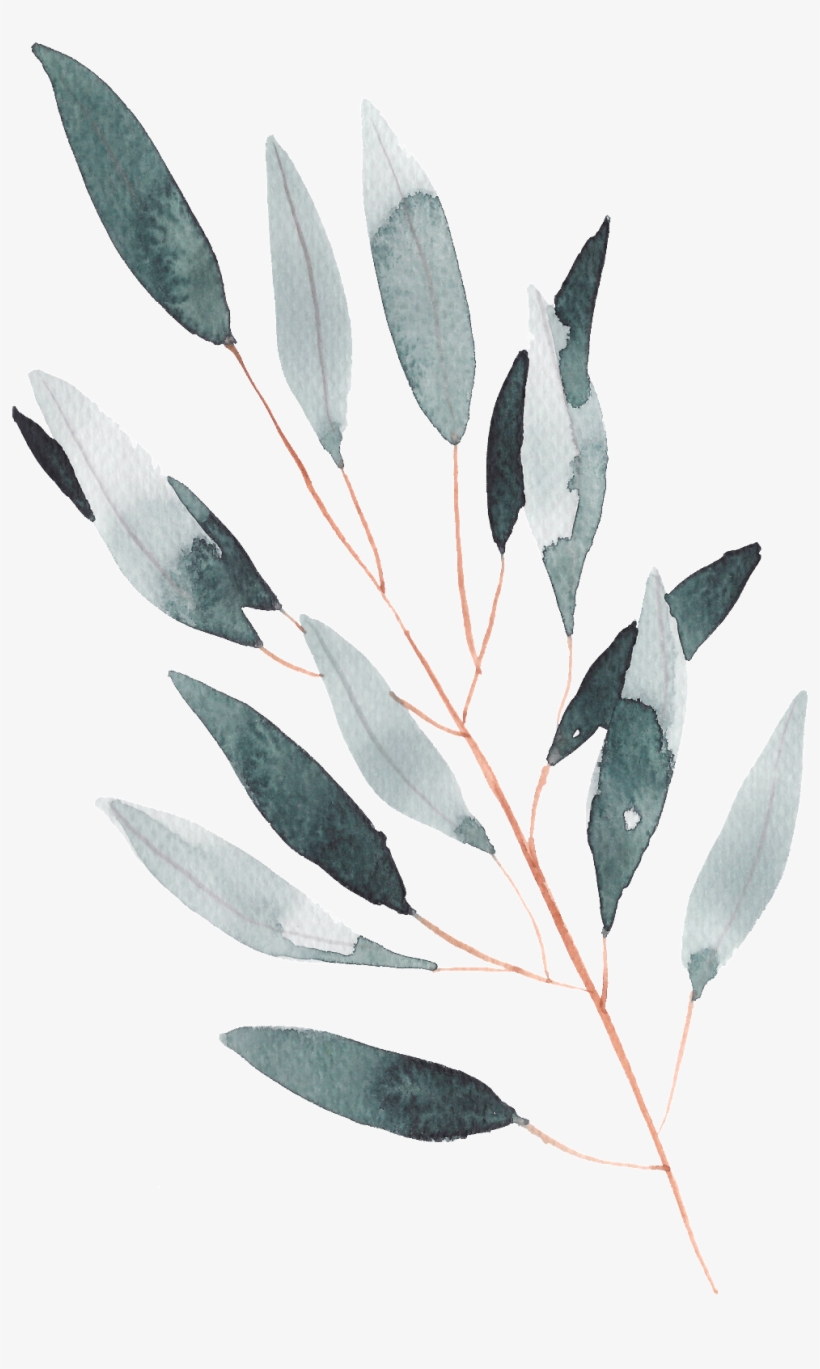 Hand Painted A Leaf Watercolor Transparent - Watercolor Painting, transparent png #1196204