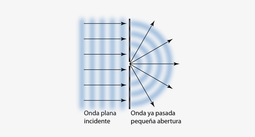 En 1678 Huygens Propuso Un Modelo Donde Cada Punto - Huygens Principle, transparent png #1196309