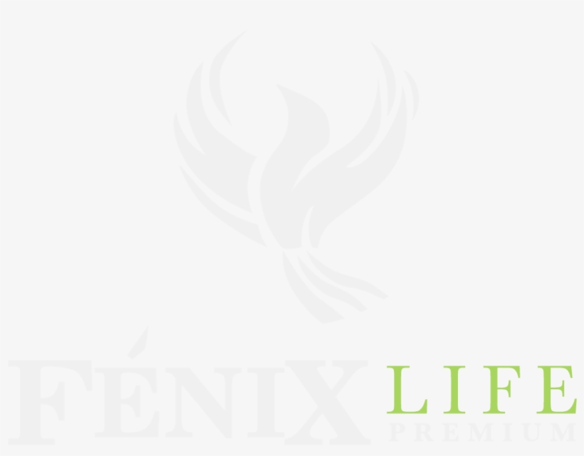 Add A Comment Cancelar Respuesta - Phantom's Revenge, transparent png #1196691