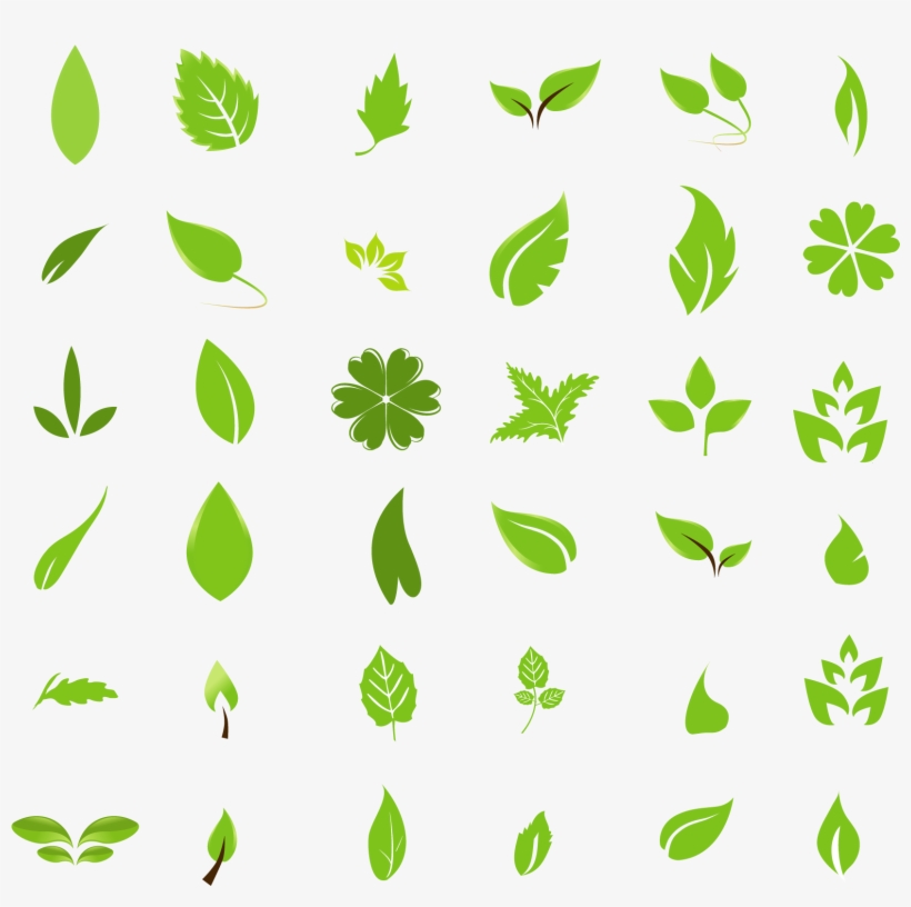 Free Vector Leaves, transparent png #1197111