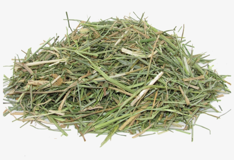 Grass - Artificial Turf, transparent png #1197117