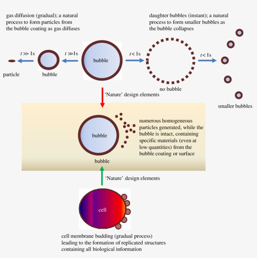 Nature And Bioinspired Bubble Design Elements - Design Process Bioinspired, transparent png #1197143