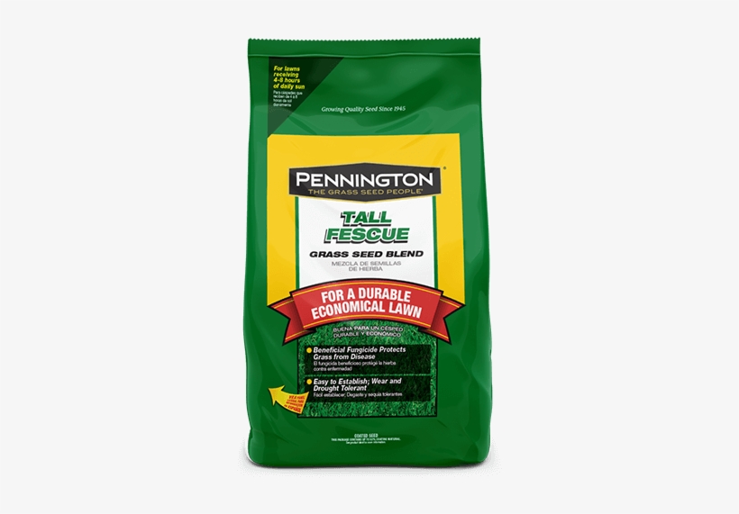 Tall Fescue - Grass Seed - Pennington Kentucky Bluegrass Grass (green) Seed, 3, transparent png #1197289