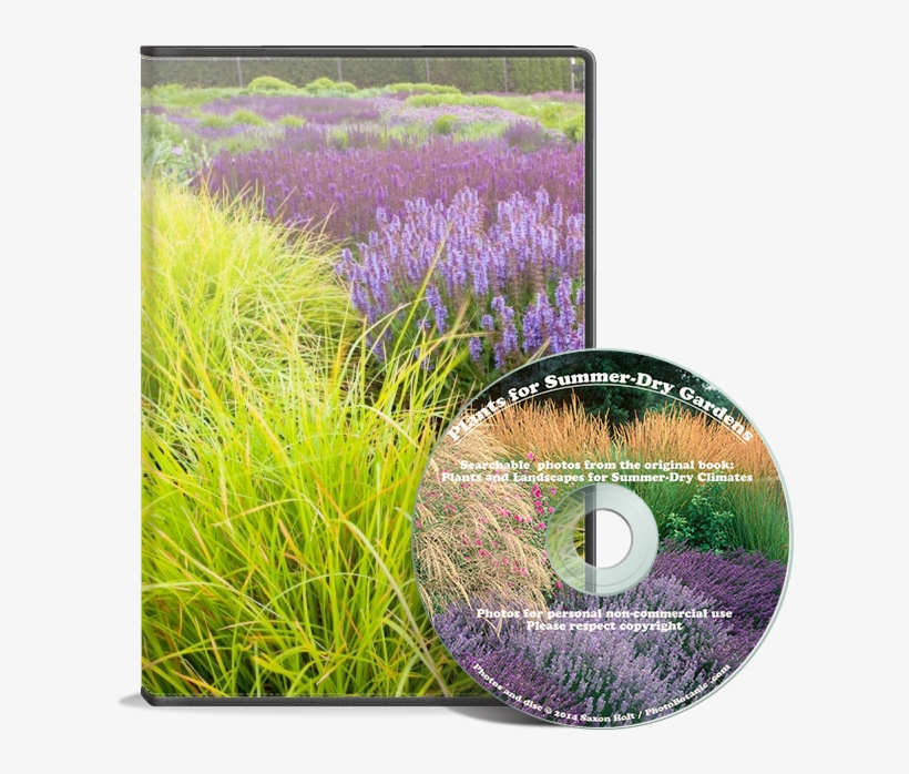 Cd Summer Dry - Plants And Landscapes For Summer-dry Climates, transparent png #1197384