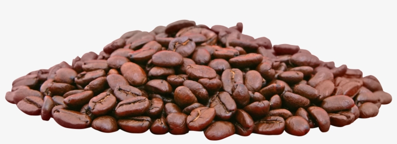 Cocoa Bean Clipart Transparent - Cocoa Beans Transparent, transparent png #1199400