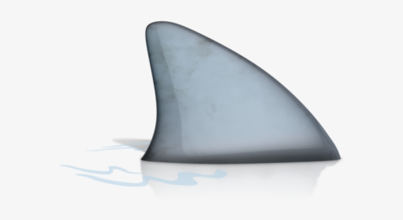 Shark, transparent png #1199670