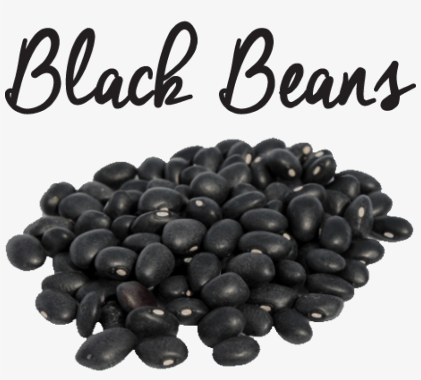 Free Png Black Beans Png Images Transparent - Velvet Bean In Urdu, transparent png #1199690