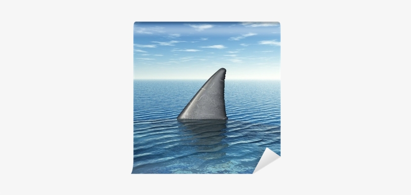 Shark Week: Everything You Need To Know, transparent png #1199757