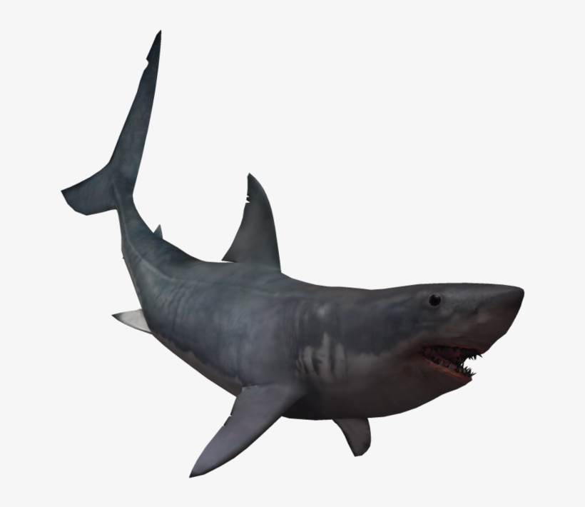 Drawing Shark Real Svg Library Download - Giant Shark No Background, transparent png #1199801