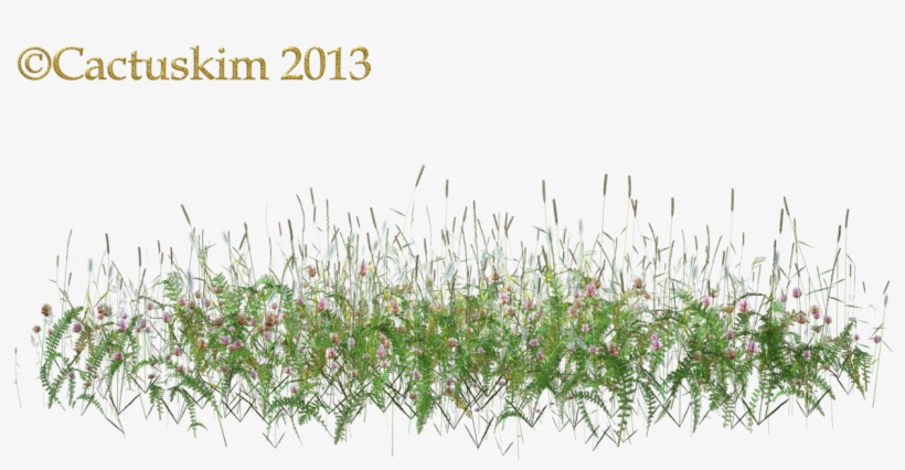 Here Is A Png Of Some Wildflowers/grass Etc On Transparent - Wild Flowers Png, transparent png #120017