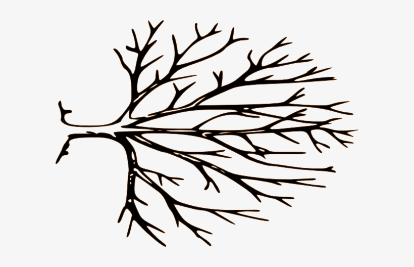 Pix For Bare Tree Stencil - Bare Tree Branch Clipart, transparent png #120291