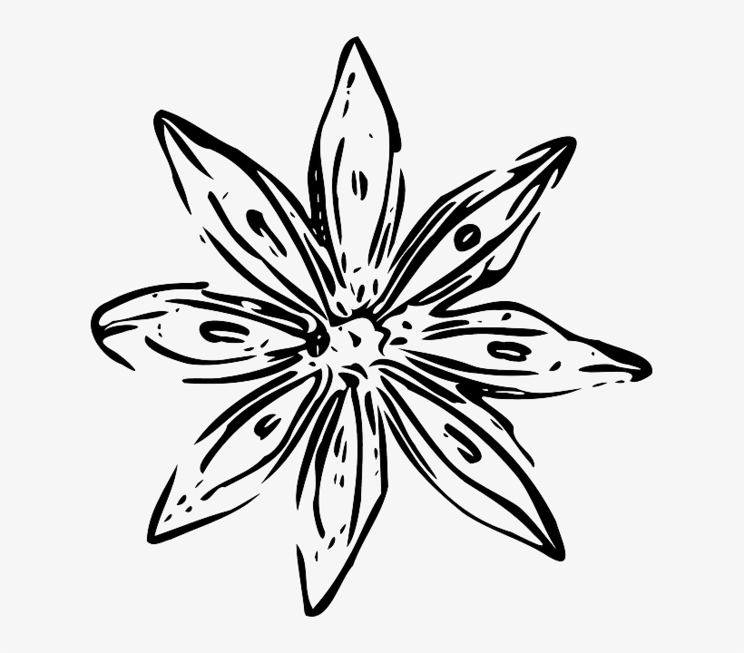 28 Collection Of White Flower Drawing Png - White Flower Outline Png, transparent png #120637
