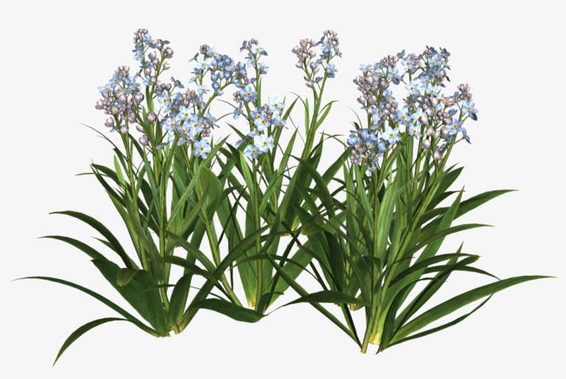 Download Garden Flowers Png Flower Vector Free Svg Freeuse Stock ภาภภภหล ภPowerpoint Hd Free Transparent Png Download Pngkey
