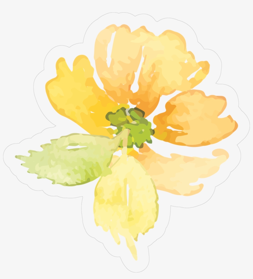 Image - Primula, transparent png #121335
