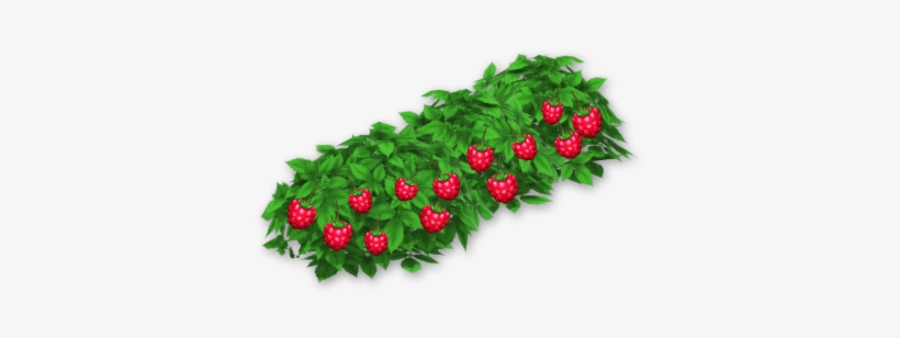 Raspberry Bush - Hay Day Berry Bush, transparent png #121404