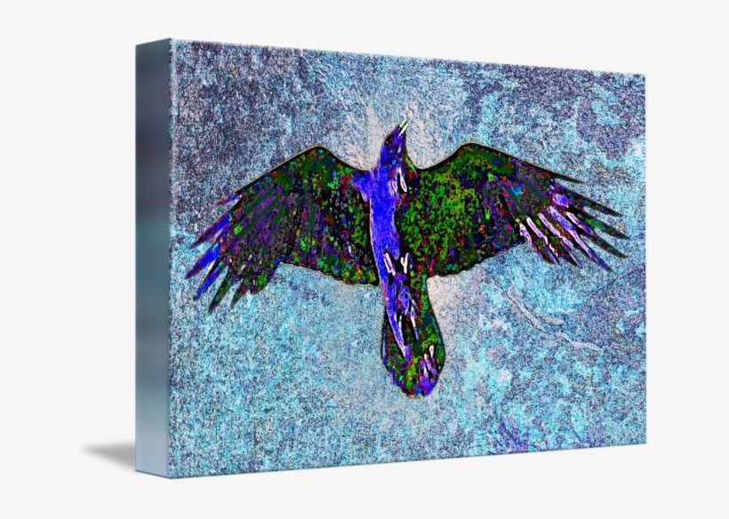 Raven Paint By Paul Hood - Farbrabe Auf Blau Karte, transparent png #121617
