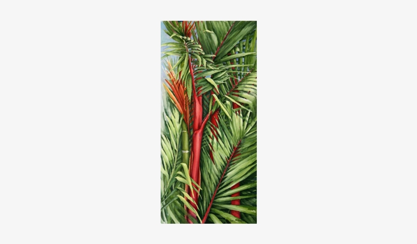 Sealing Wax Palm - Evergreen, transparent png #121670