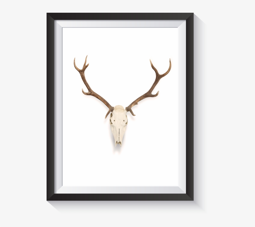 Antlers Watercolor Png Free Jpg Black And White Stock - Elk, transparent png #121901