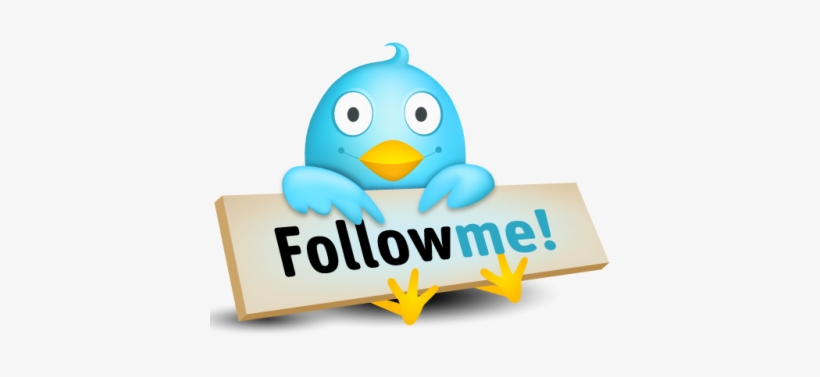 Twitter Bird Png - Twitter Following, transparent png #122158