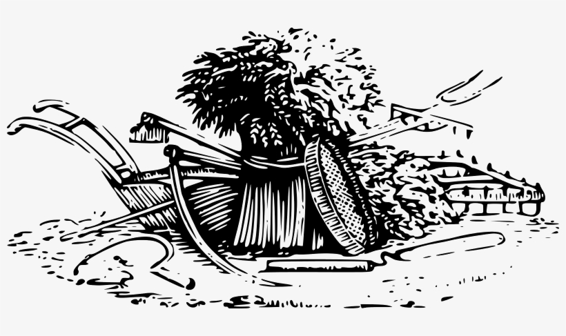 Wheat Harvest, transparent png #122369