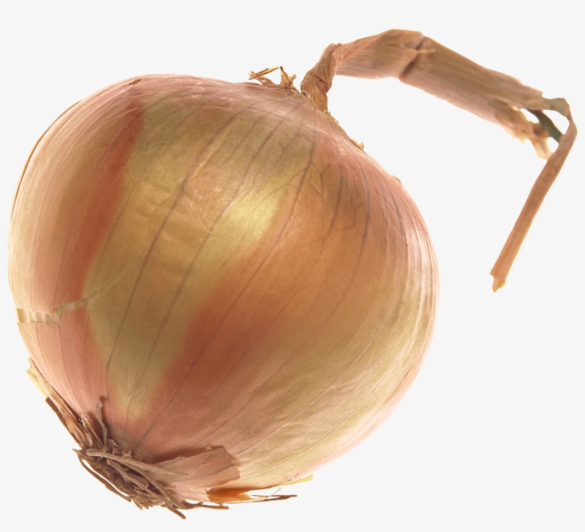 Onion Large - Onion Transparent Background, transparent png #123085
