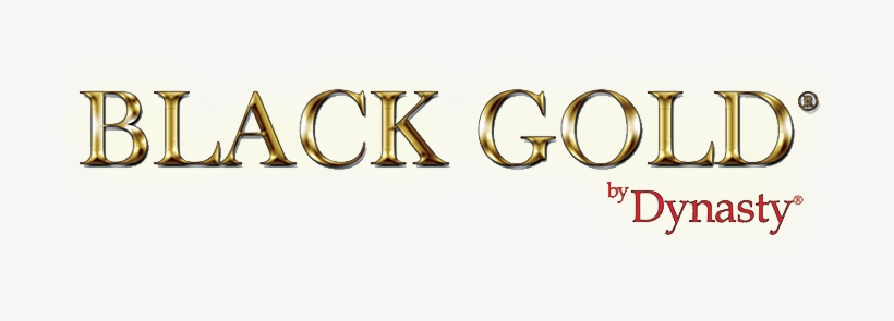 The Black Gold By Dynasty Artist Brushes Represent - Silver, transparent png #123198